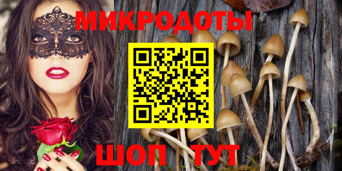 Псилоцибиновые грибы Cubensis Серов