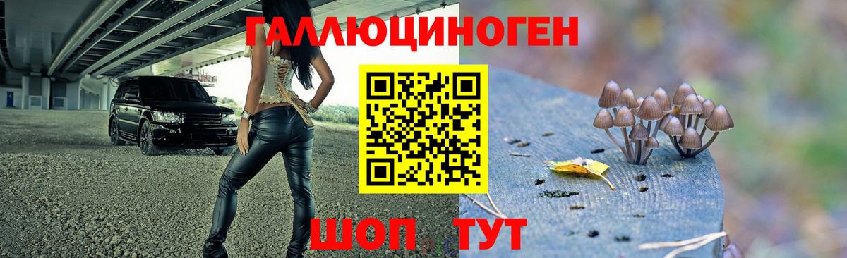 Псилоцибиновые грибы ЛСД  Псилоцибиновые грибы Psilocybe  Серов  купить наркотик  Вход с VPN 